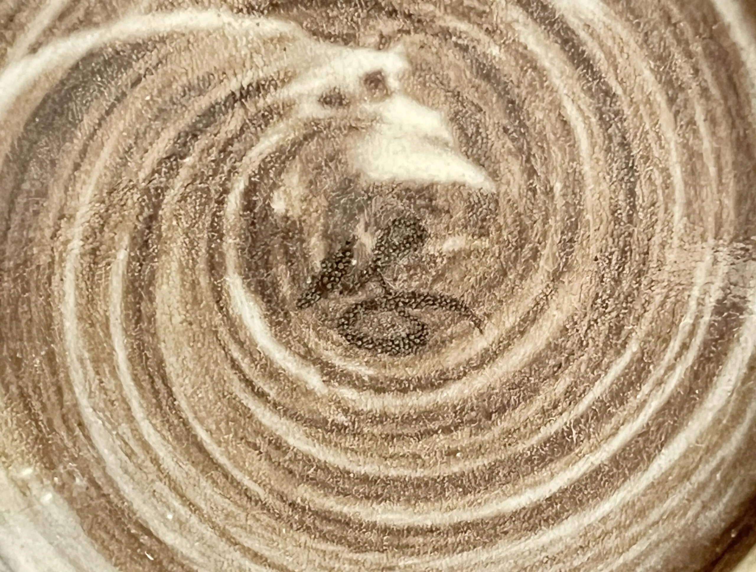 陶印（作印）：高台内にございます