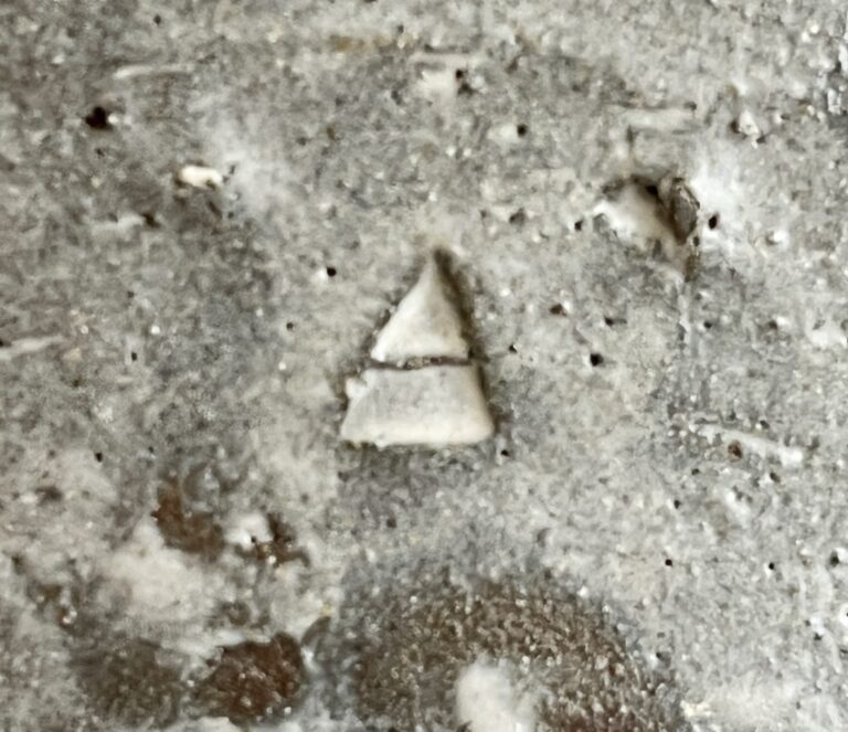 ★ 吉田明 （師 江崎一生） 彫三島　片口鉢　酒器の陶印