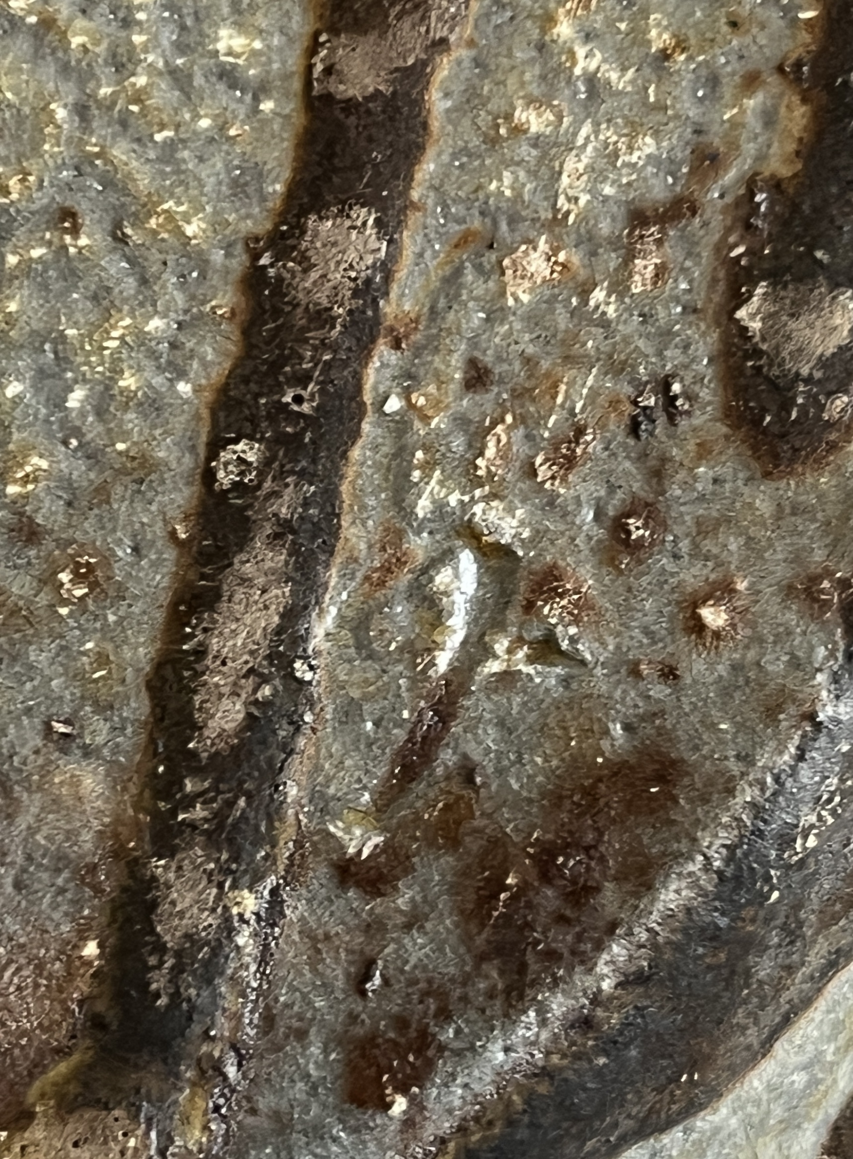 猪俣政昭　備前　壷　胴径25.5㎝　窯変　花入　花生　花器　茶道具の陶印