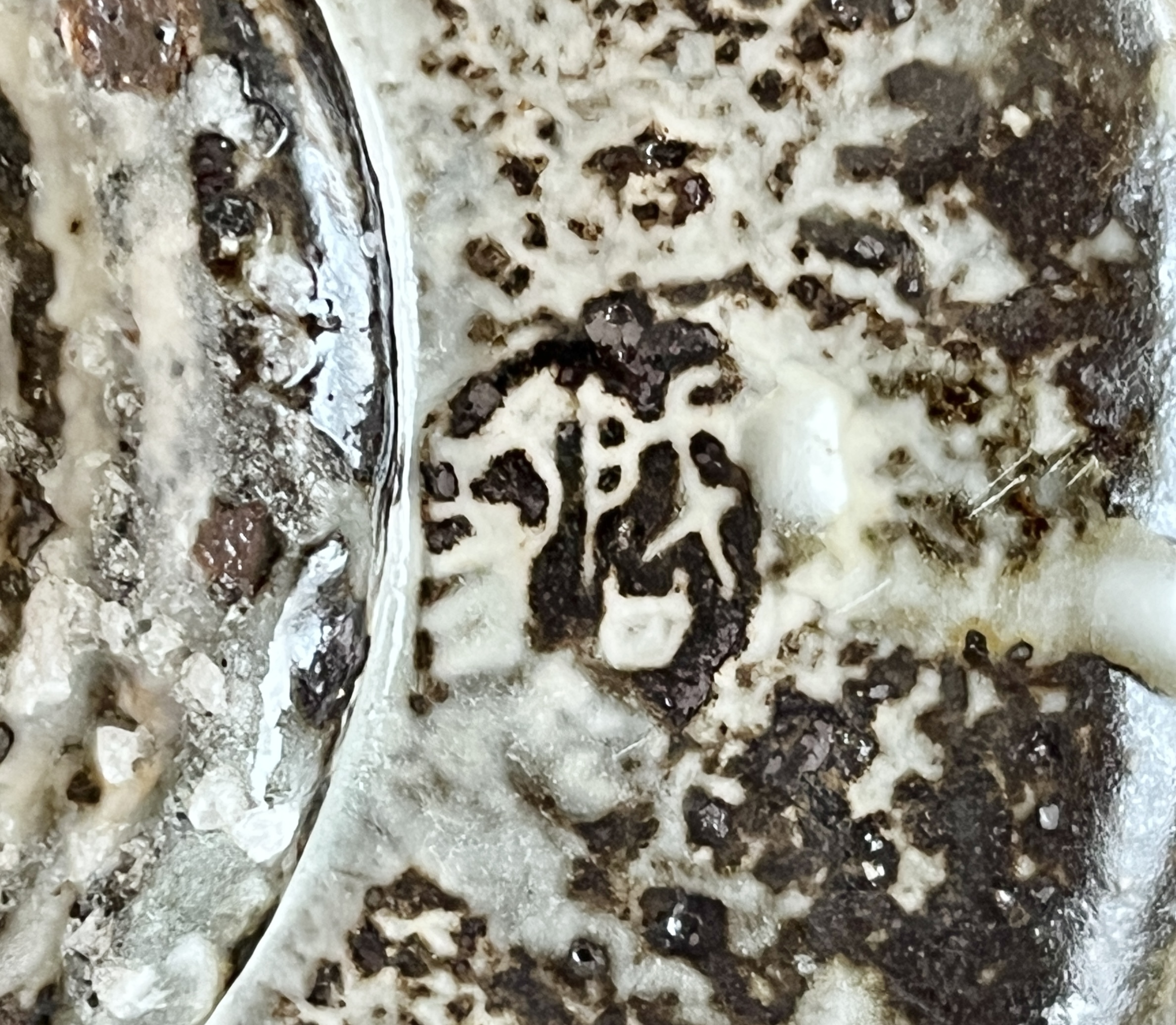 清水啓功 （十二代 三輪休雪）　煌雪窯　萩焼　炭化粉引茶碗　茶道具の陶印