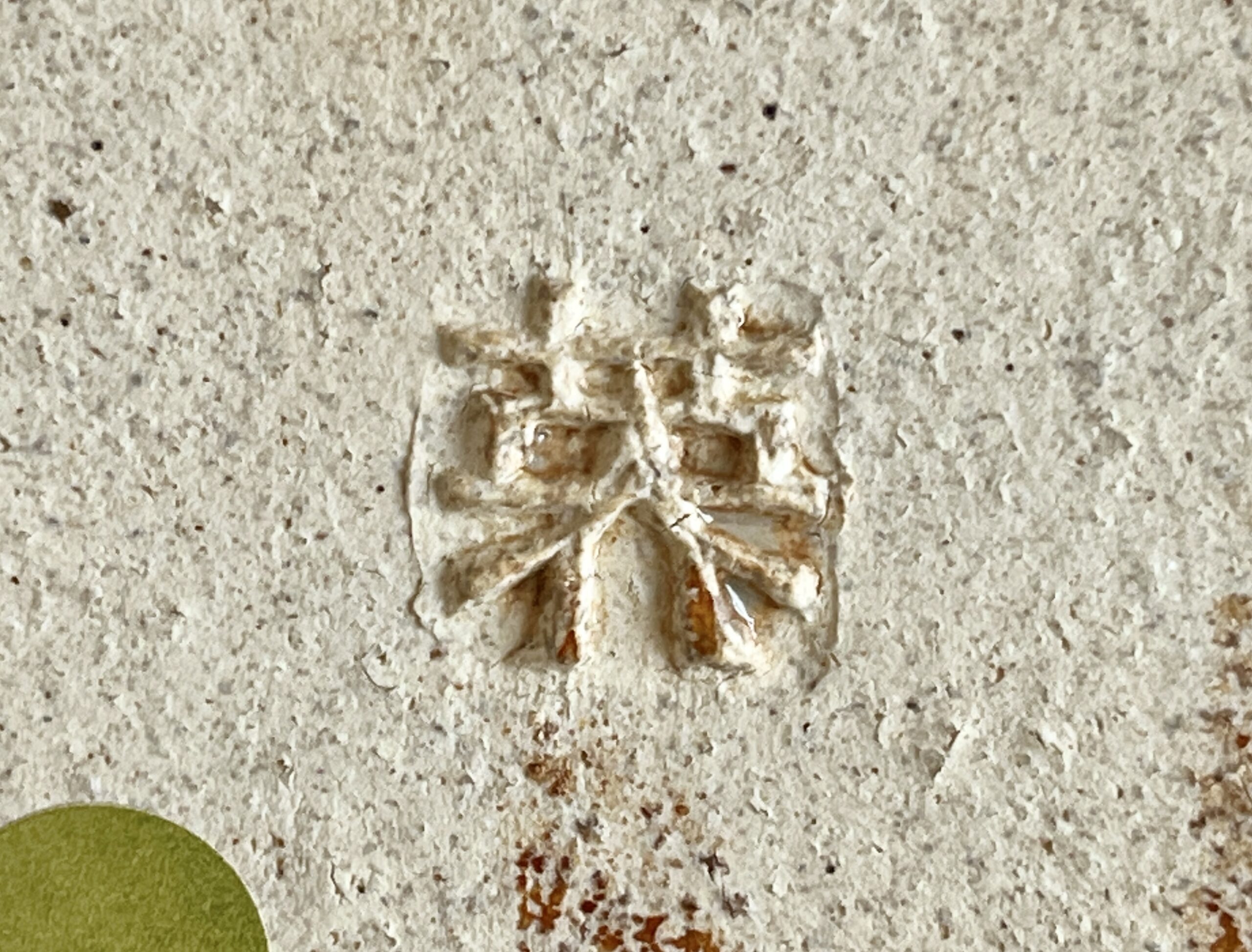 椋木英三 （師 河井寛次郎） 筒描　辰砂陶筥　陶箱　蓋物　菓子器の陶印