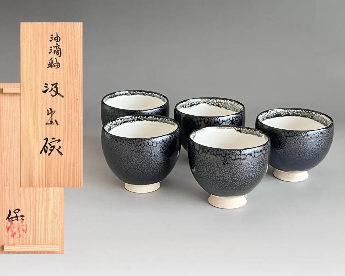 酒器　ぐい呑み　清水保孝　鉄絵　亀遊文　共箱　京焼　父：清水卯一　現代陶芸 清水保孝 （父 人間国宝 清水卯一） 油滴釉 汲出碗 五客 湯呑 湯碗