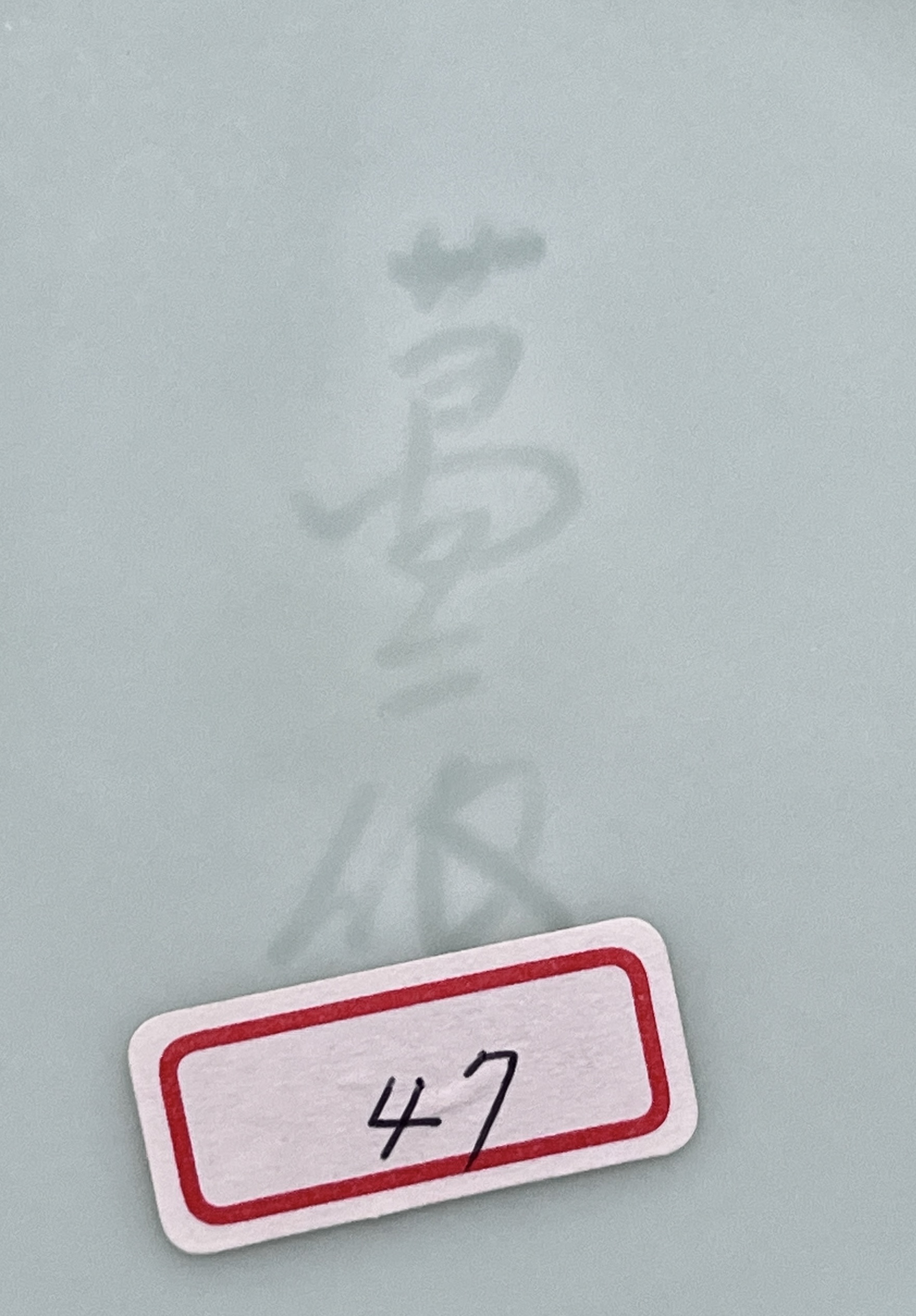 ★ 人間国宝 井上萬二　青白磁彫文壷　高さ26.5㎝　花入　花瓶　花器　茶道具の陶印