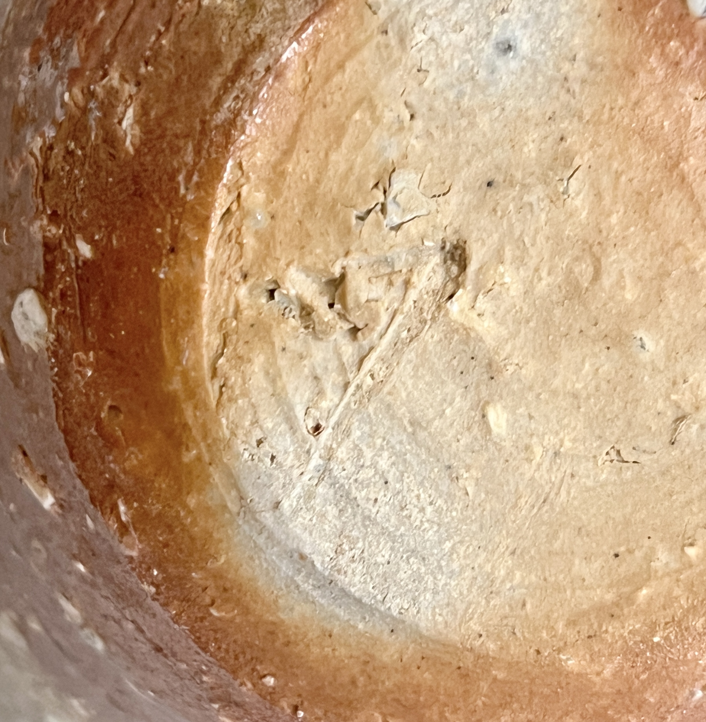 ★ 辻清明　信楽焼　片口　湯冷まし　酒器　和食器の陶印